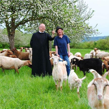 Kloster Plankstetten Gaste- Und Tagungshaus Berching Buitenkant foto