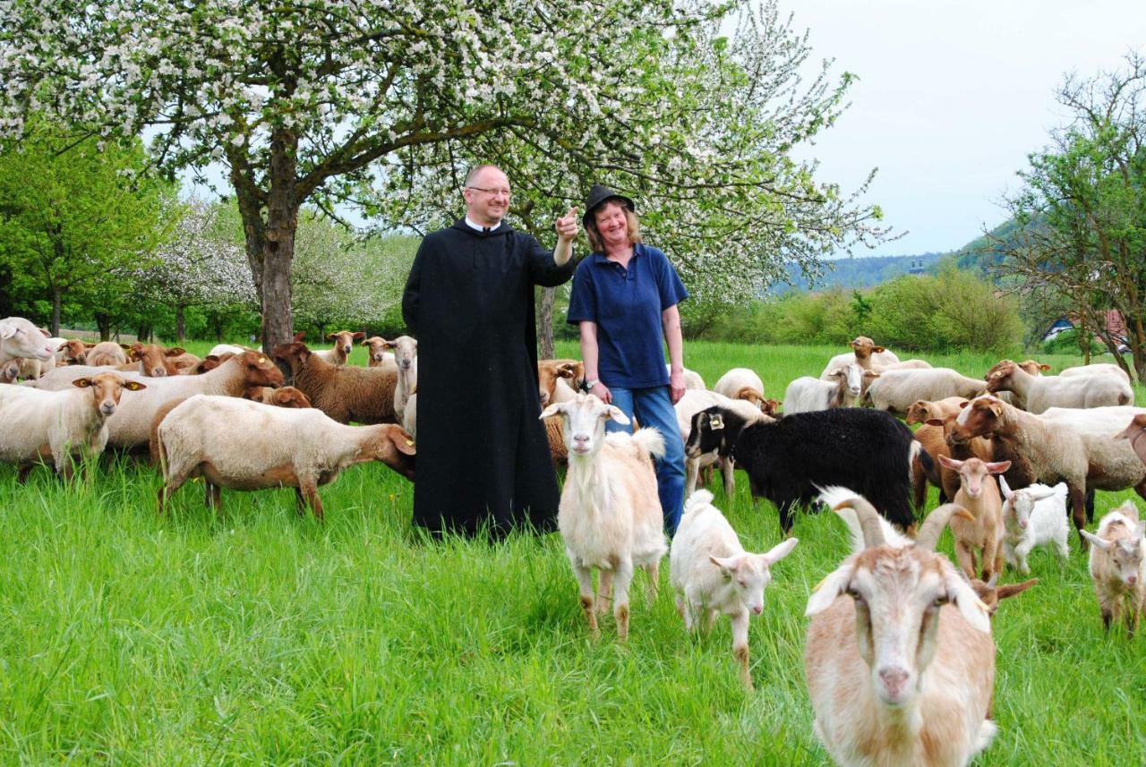 Kloster Plankstetten Gaste- Und Tagungshaus Berching Buitenkant foto